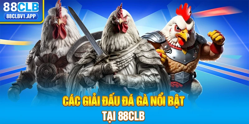 Các giải đấu đá gà nổi bật tại 88CLB