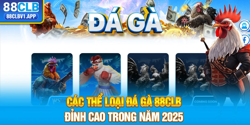 Các thể loại đá gà 88CLB đỉnh cao trong năm 2025