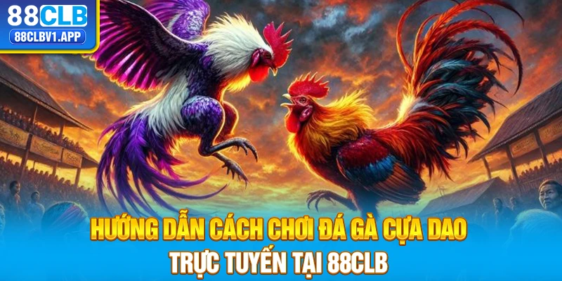 Hướng dẫn cách chơi đá gà cựa dao trực tuyến tại 88CLB chi tiết