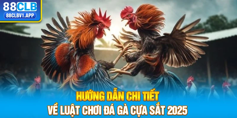 Hướng dẫn chi tiết về luật chơi đá gà cựa sắt 2025