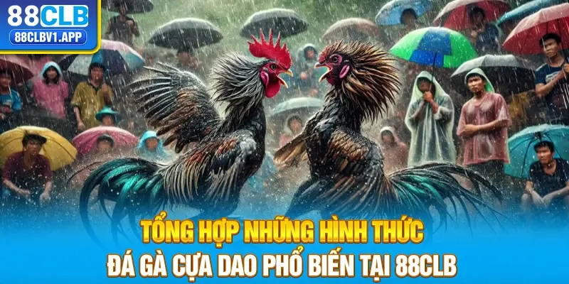 Tổng hợp những hình thức đá gà cựa dao phổ biến tại 88CLB