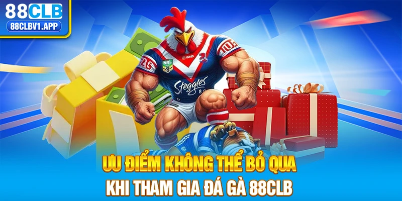 Ưu điểm không thể bỏ qua khi tham gia đá gà 88CLB